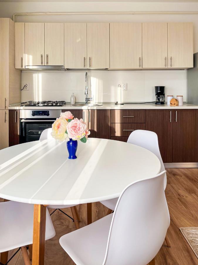 Uniquemoments Airport Apartment & Secure Parking & Airport Shuttle 雅西 外观 照片